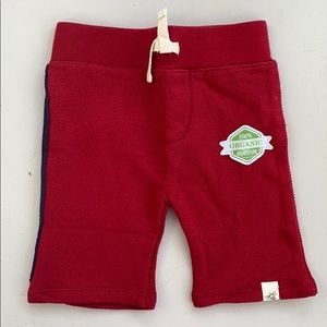Organic Burts Bees red pants
